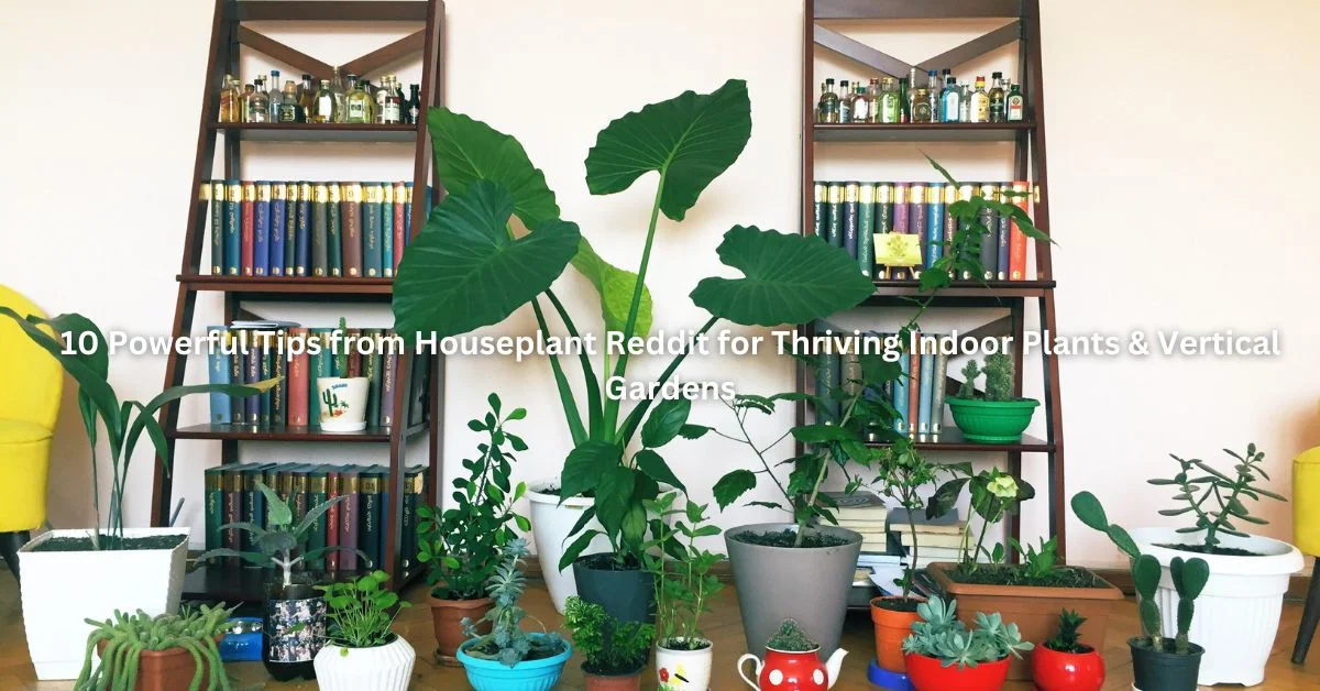 10 Powerful Tips from Houseplant Reddit for Thriving Indoor Plants & Vertical Gardens