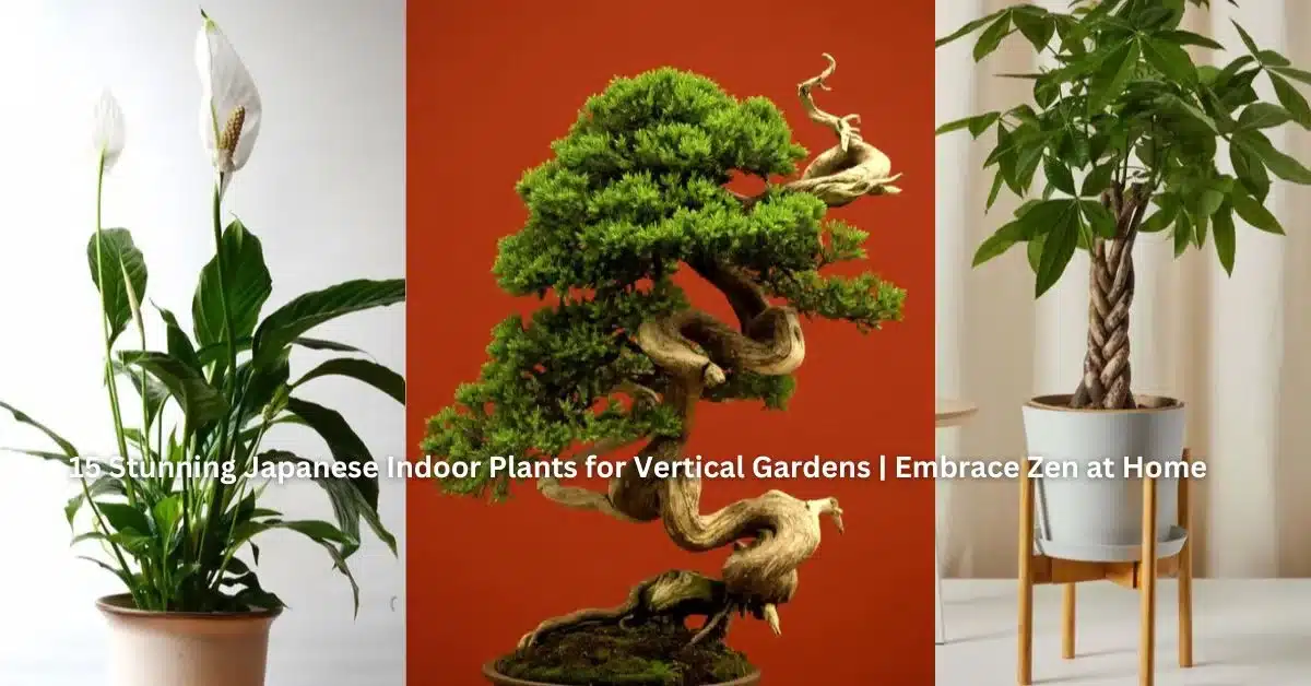 15 Stunning Japanese Indoor Plants for Vertical Gardens | Embrace Zen at Home