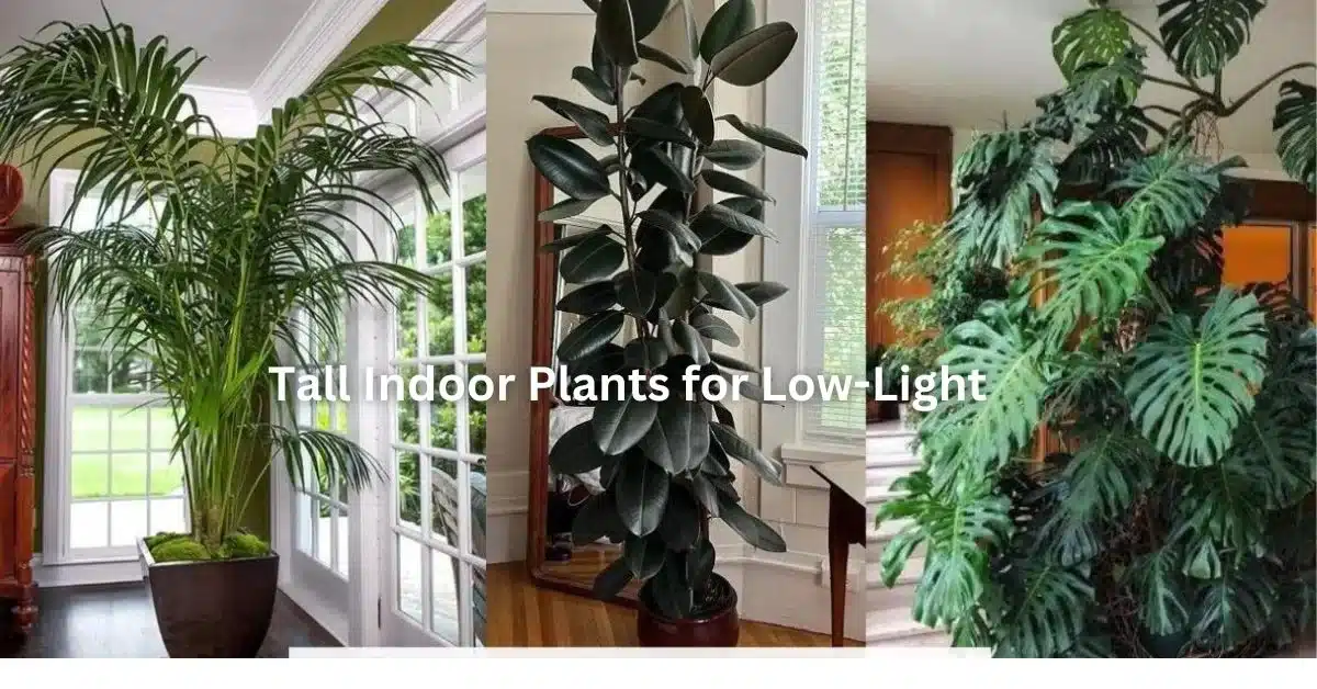 Top 10 Tall Indoor Plants for Low-Light: Best Choices for Vertical Gardening