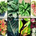 Top 10 Popular House Plants of 2024 for Indoor and Vertical Gardens